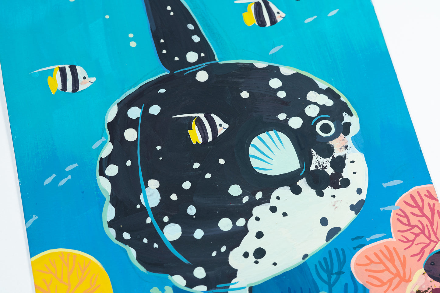 Sunfish