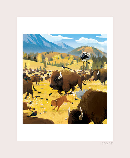 Bison Print