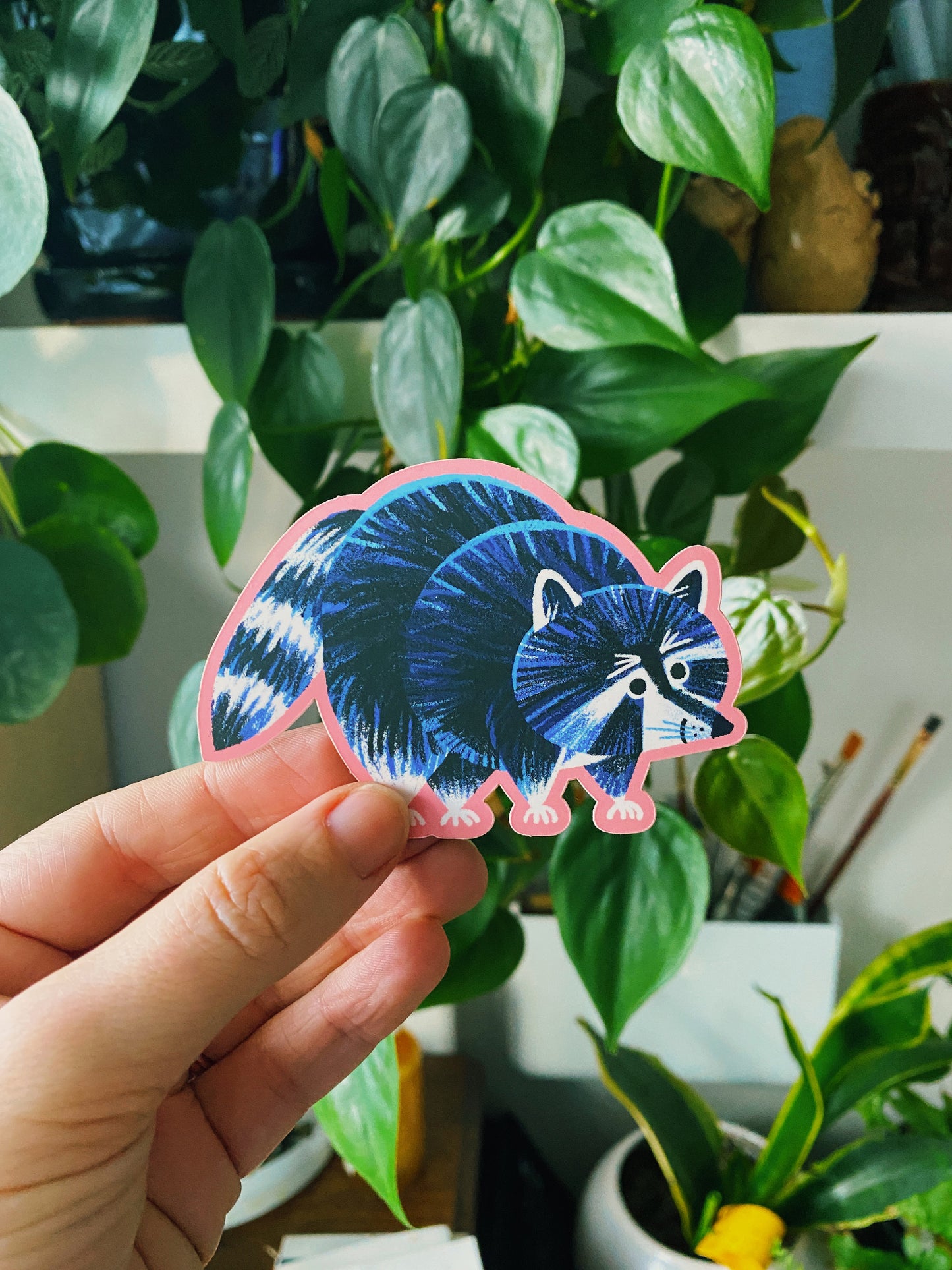 Raccoon Standing - Vinyl Sticker