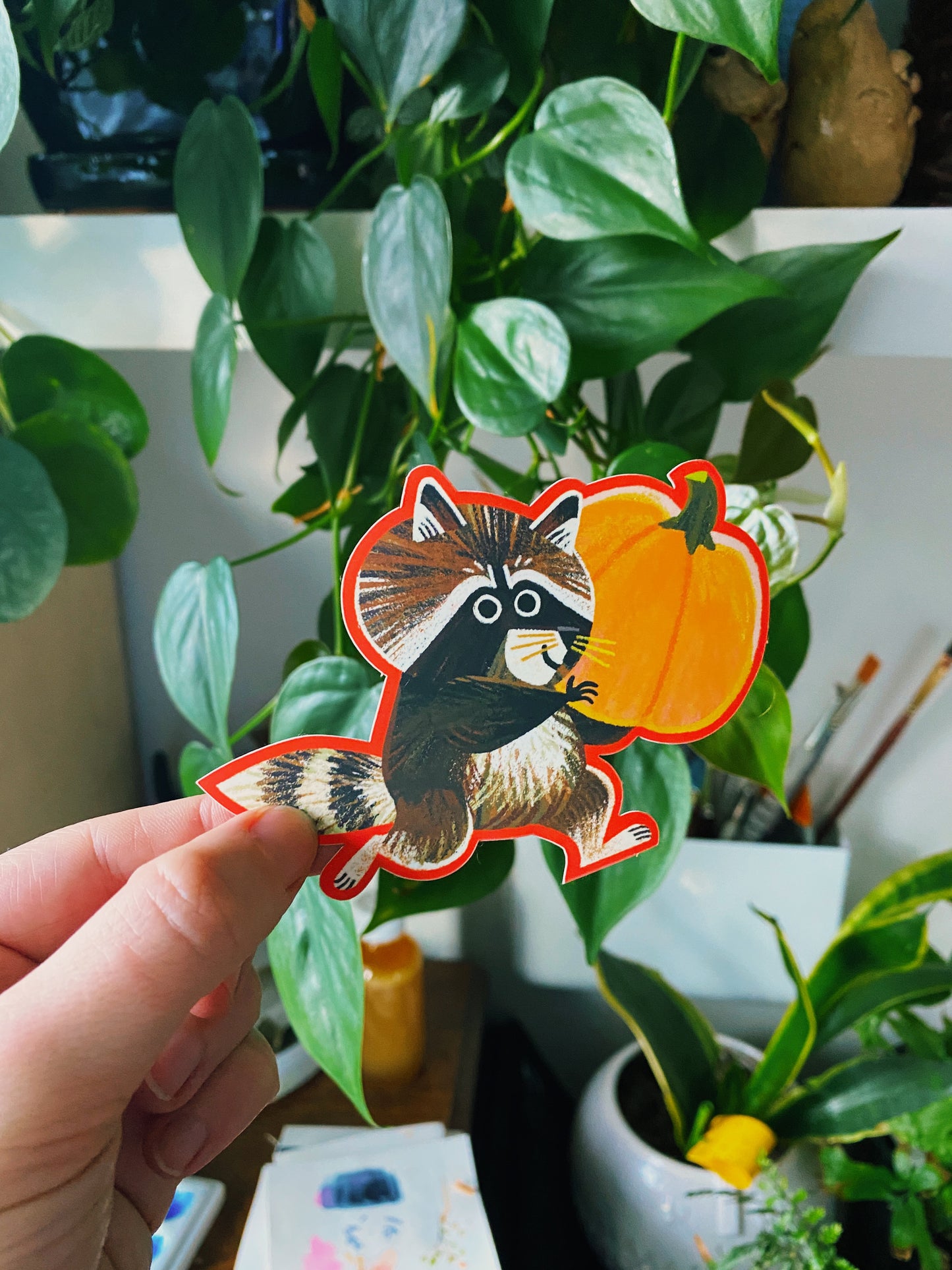 Raccoon Pumpkin - Vinyl Sticker