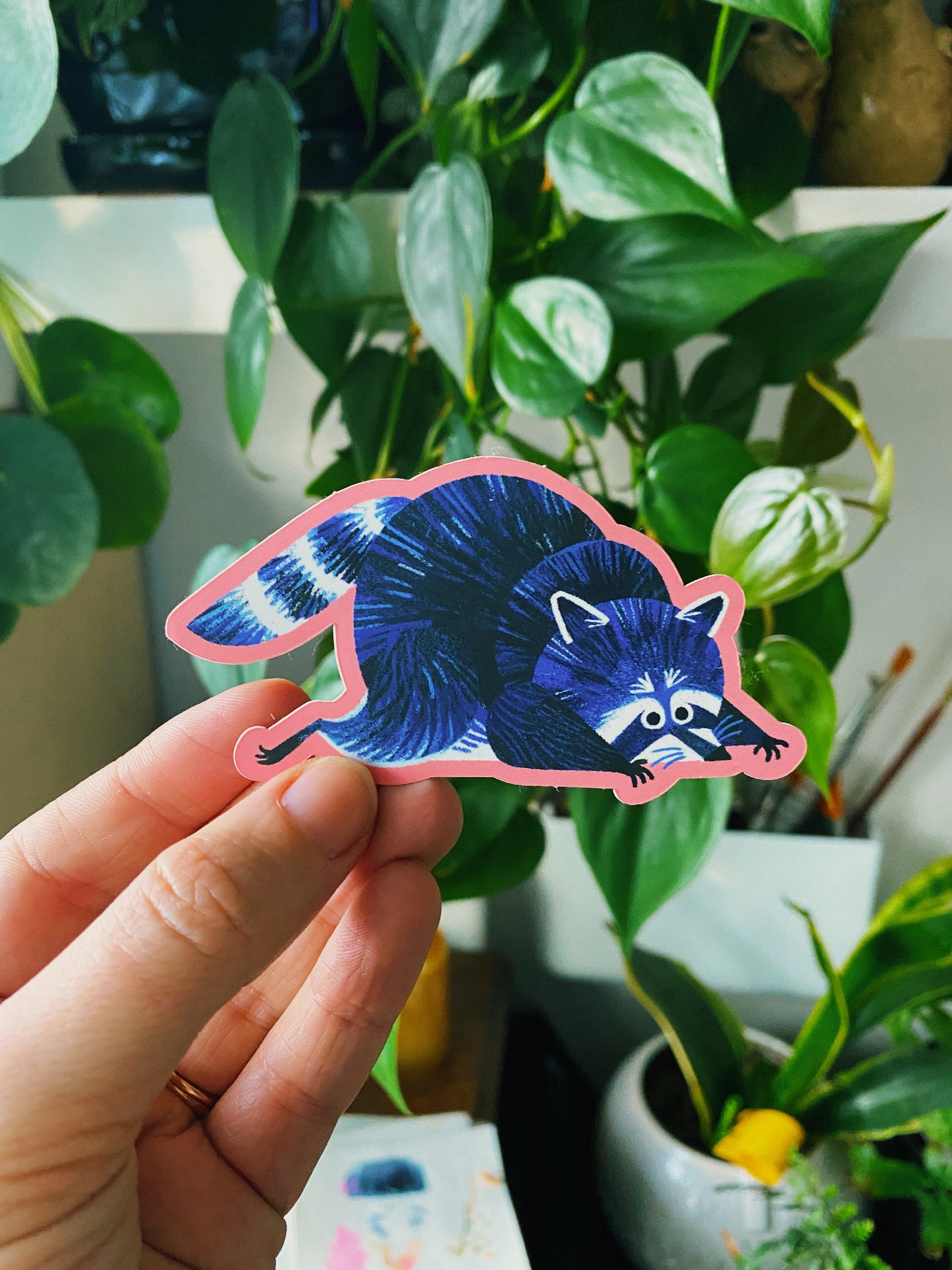 Raccoon Belly Flop - Vinyl Sticker