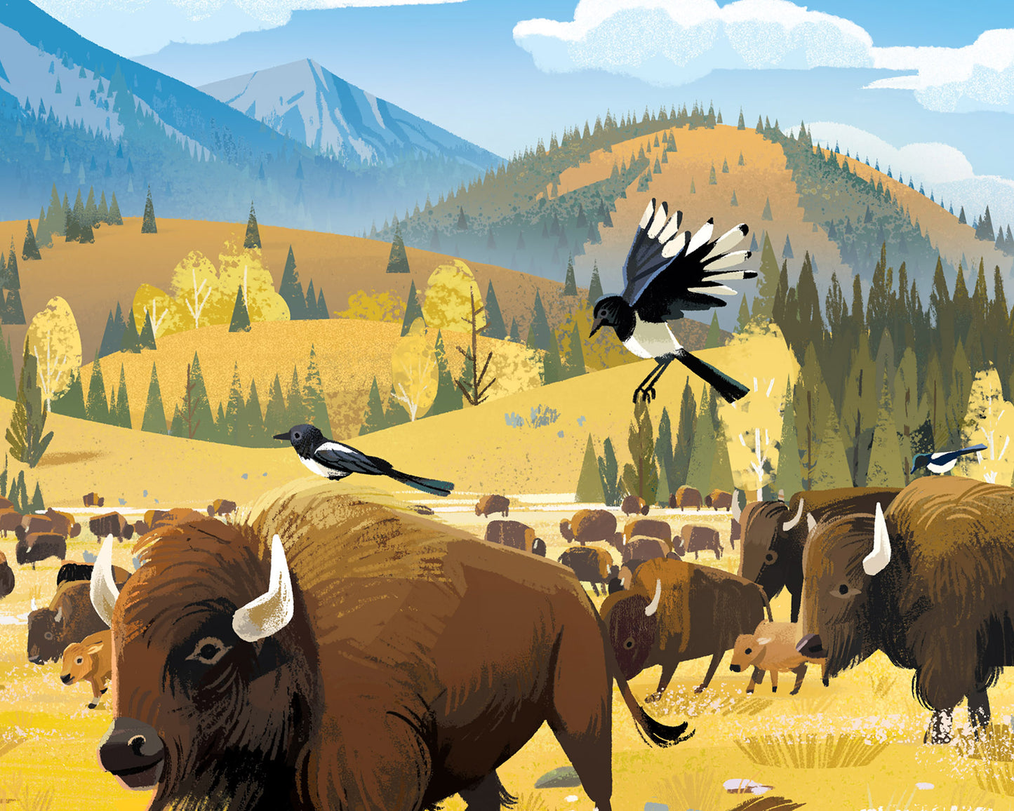 Bison Print