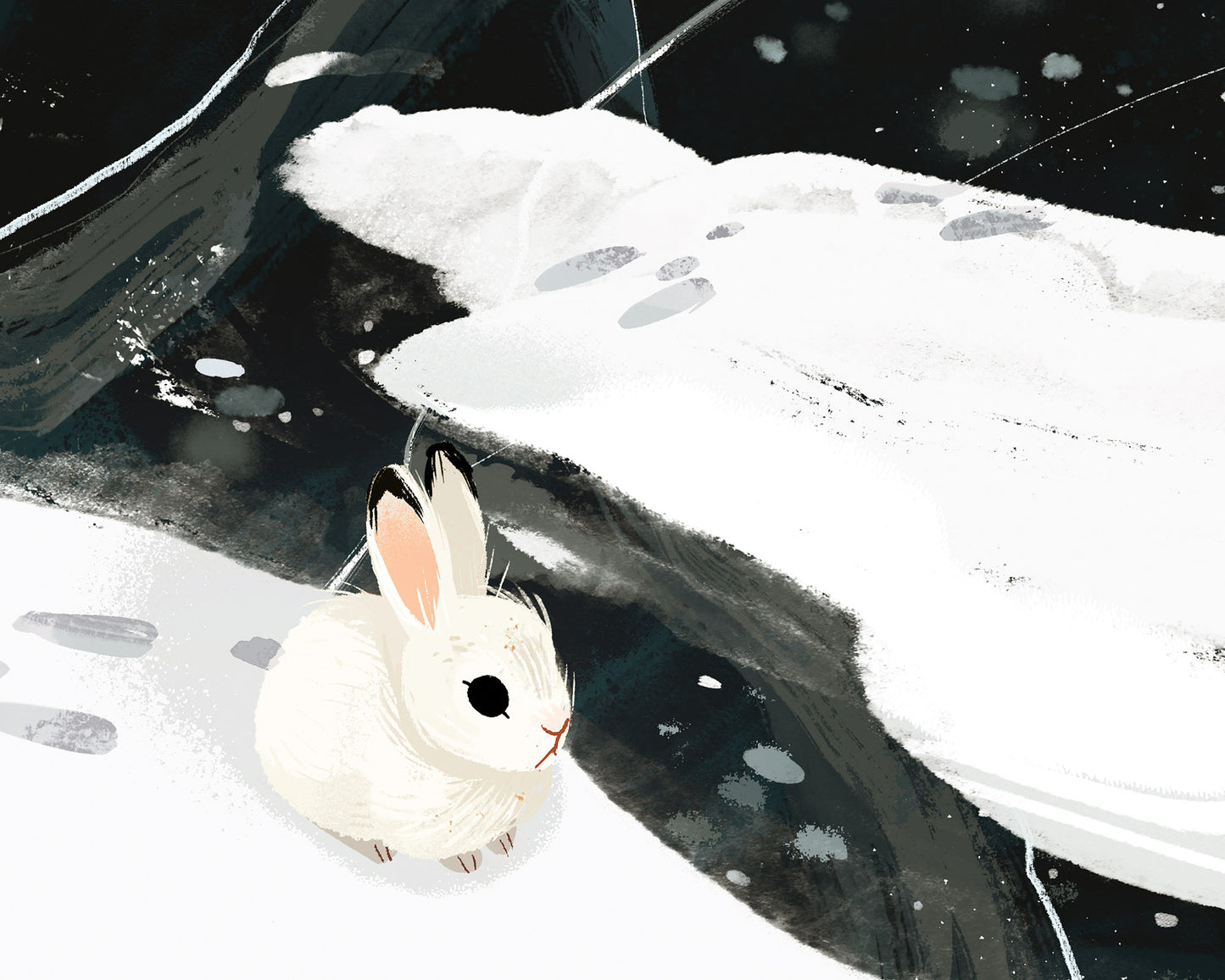 Snowshoe Hare Print