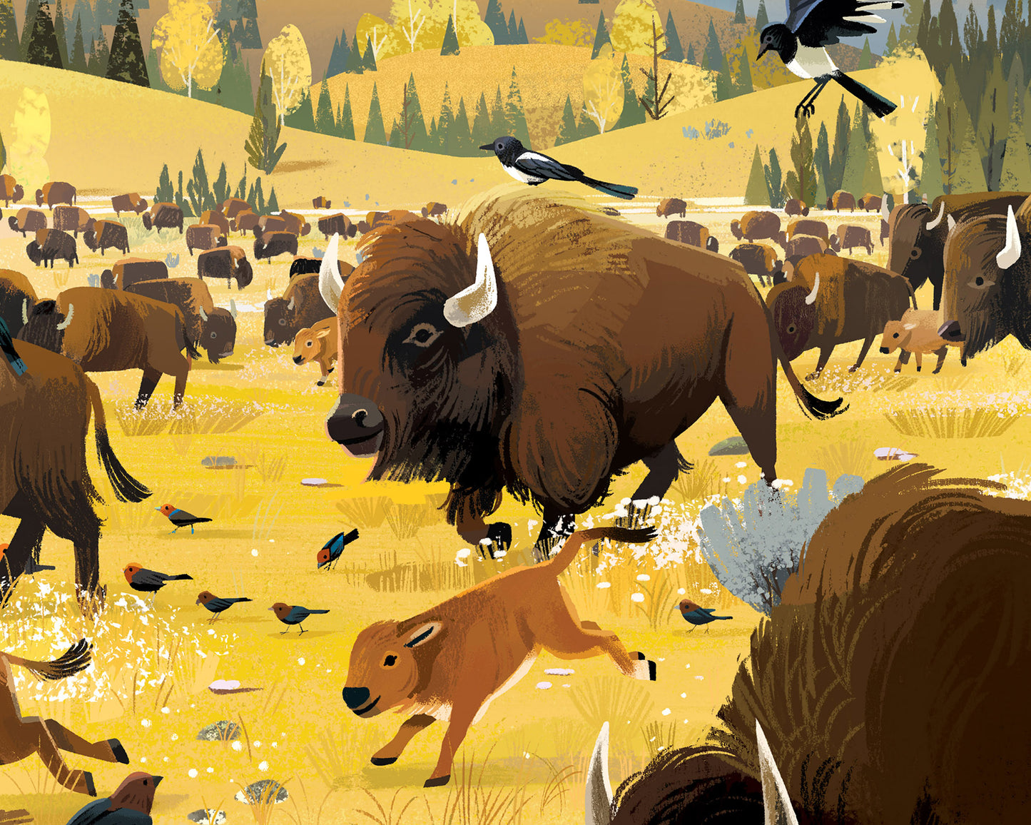 Bison Print