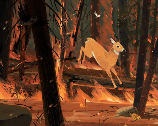 Forest Fire Print Print