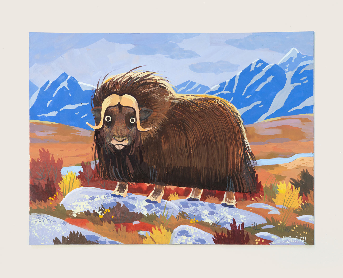 Muskox