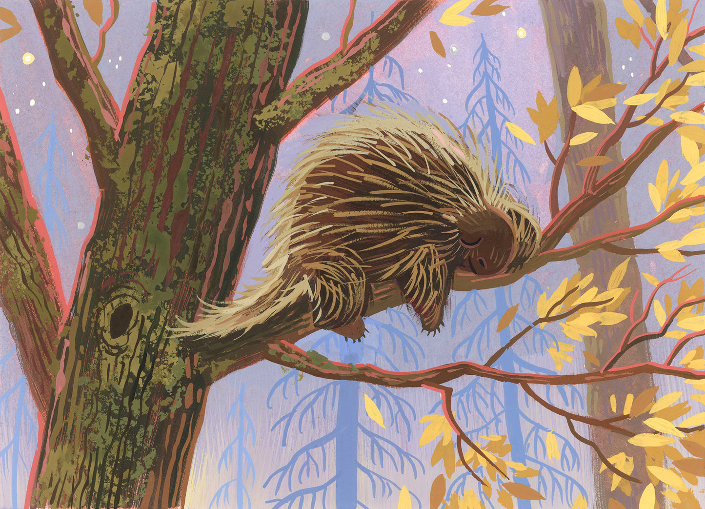 Porcupine 01 Painting