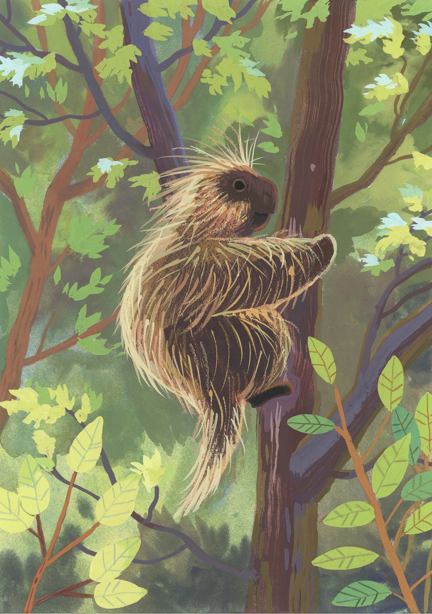 Porcupine 02 Painting