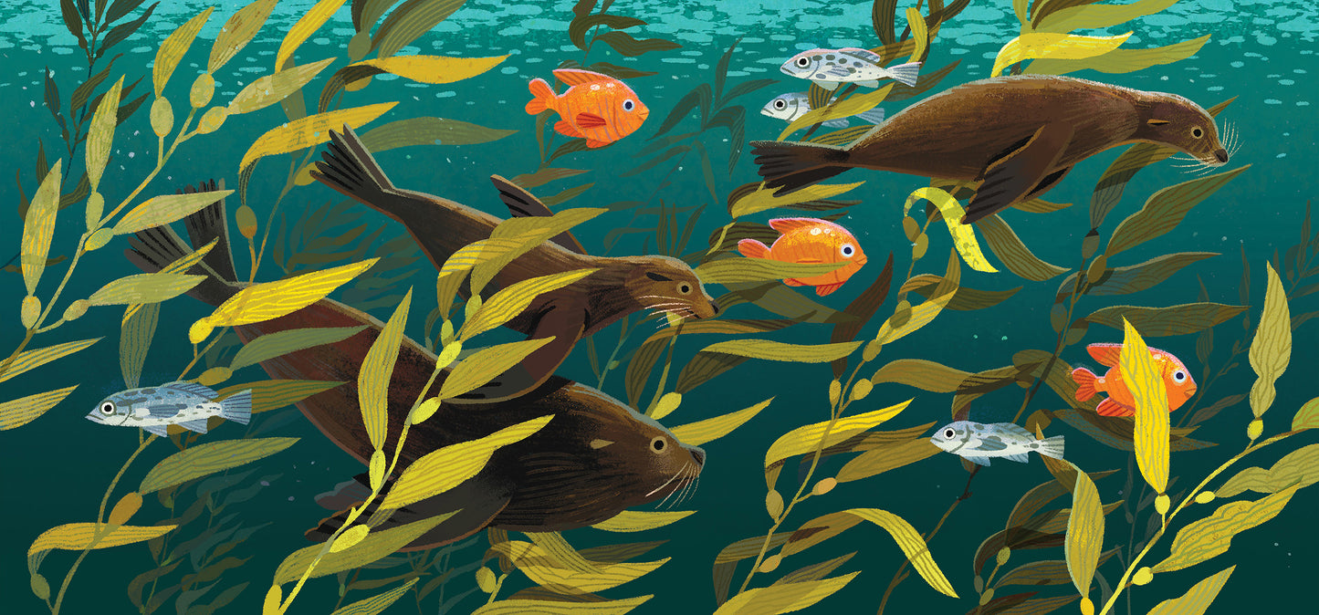 Sea Lions Print