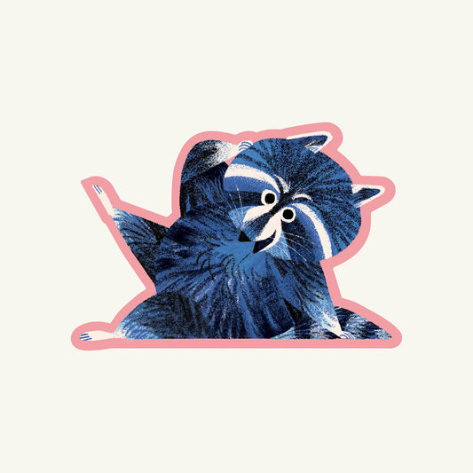 Raccoon Leg Kick - Vinyl Sticker