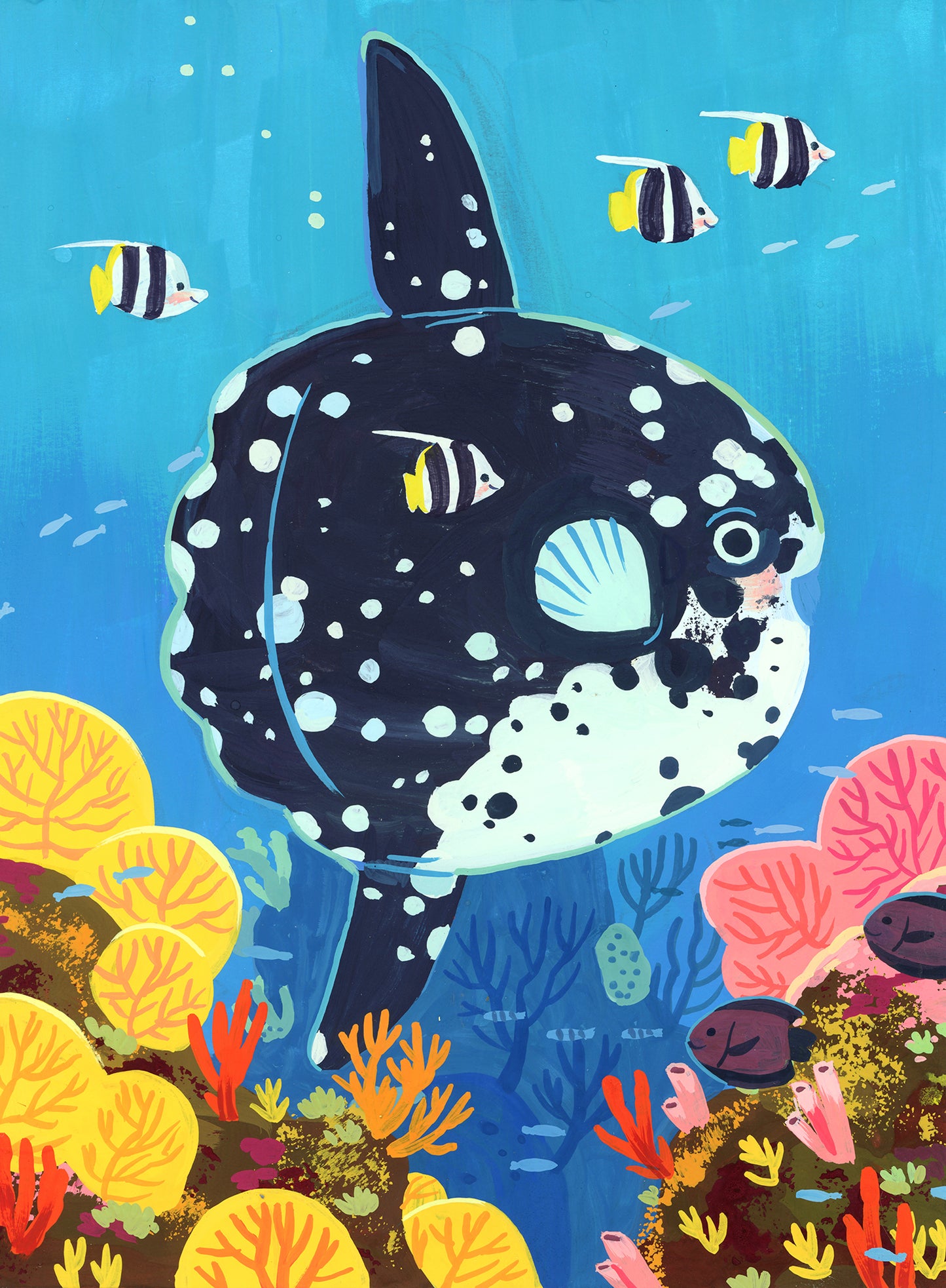 Sunfish